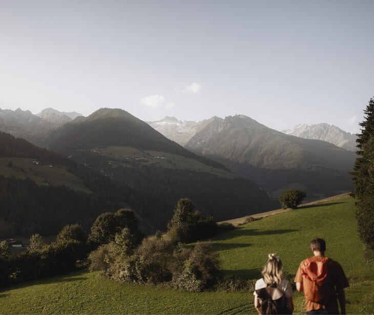 Zwei Wanderer gehen auf einem grasbewachsenen Weg mit Blick auf bewaldete Berge im Ahrntal.